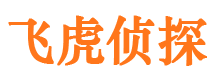 巍山市私家侦探